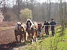 Hohenbuchen durch die Jahre_10